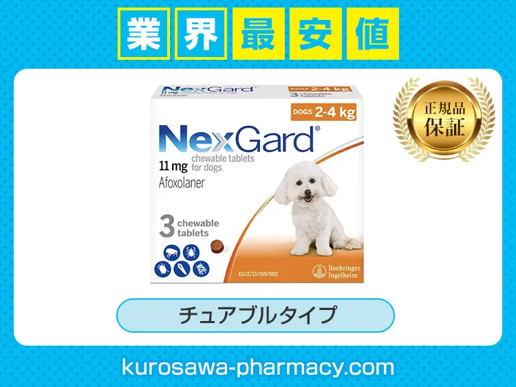 ネクスガード 超小型犬・子犬用（2～4kg未満） 通販 | 正規品保証